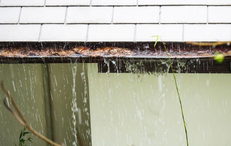 Debris-Free Gutters